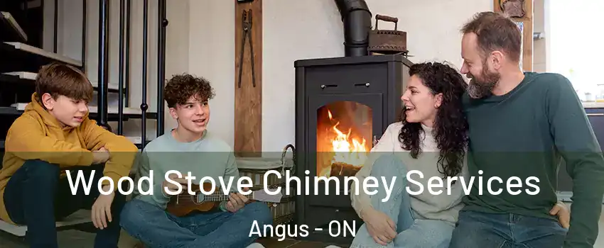 Wood Stove Chimney Services Angus - ON