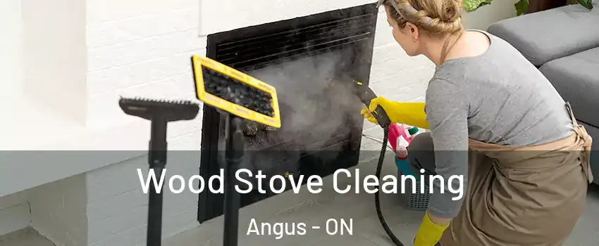 Wood Stove Cleaning Angus - ON