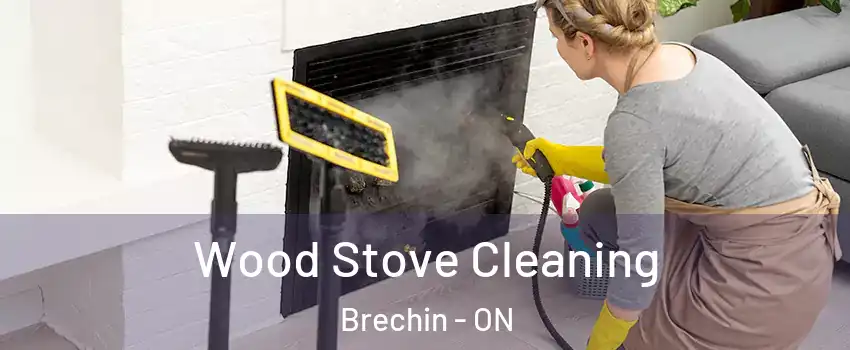  Wood Stove Cleaning Brechin - ON