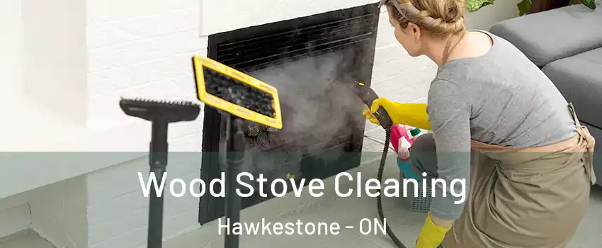  Wood Stove Cleaning Hawkestone - ON