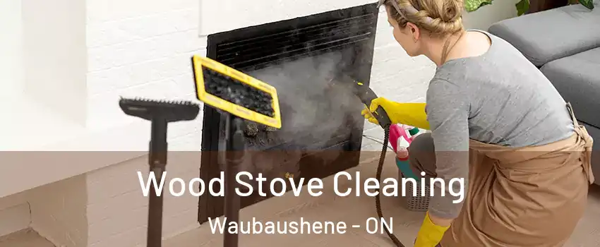 Wood Stove Cleaning Waubaushene - ON