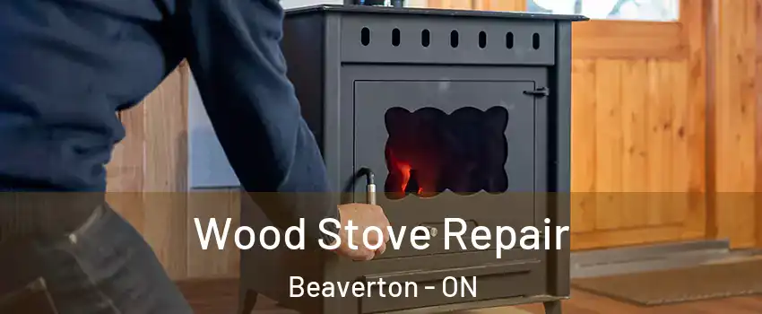  Wood Stove Repair Beaverton - ON